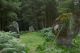 Standing Stones - Kingarth, Isle of Bute, Scotland